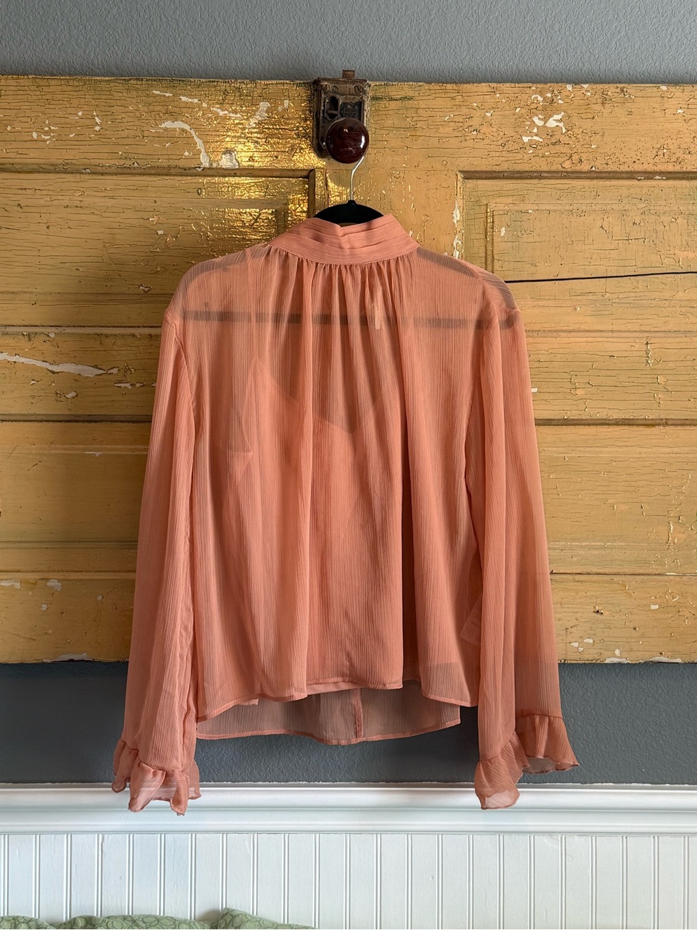 Anthropologie Peach Sheer Long-Sleeve Blouse
